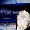 Wry - Sister